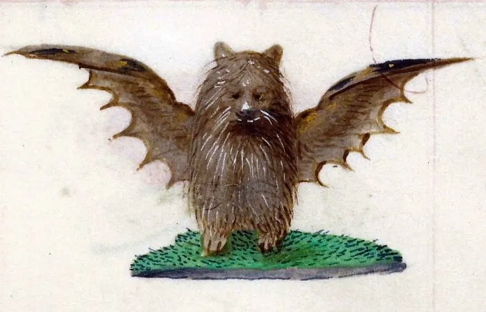 Medieval art depiction of a bizarre creature with a bear-like body and large bat wings on a patch of grass.