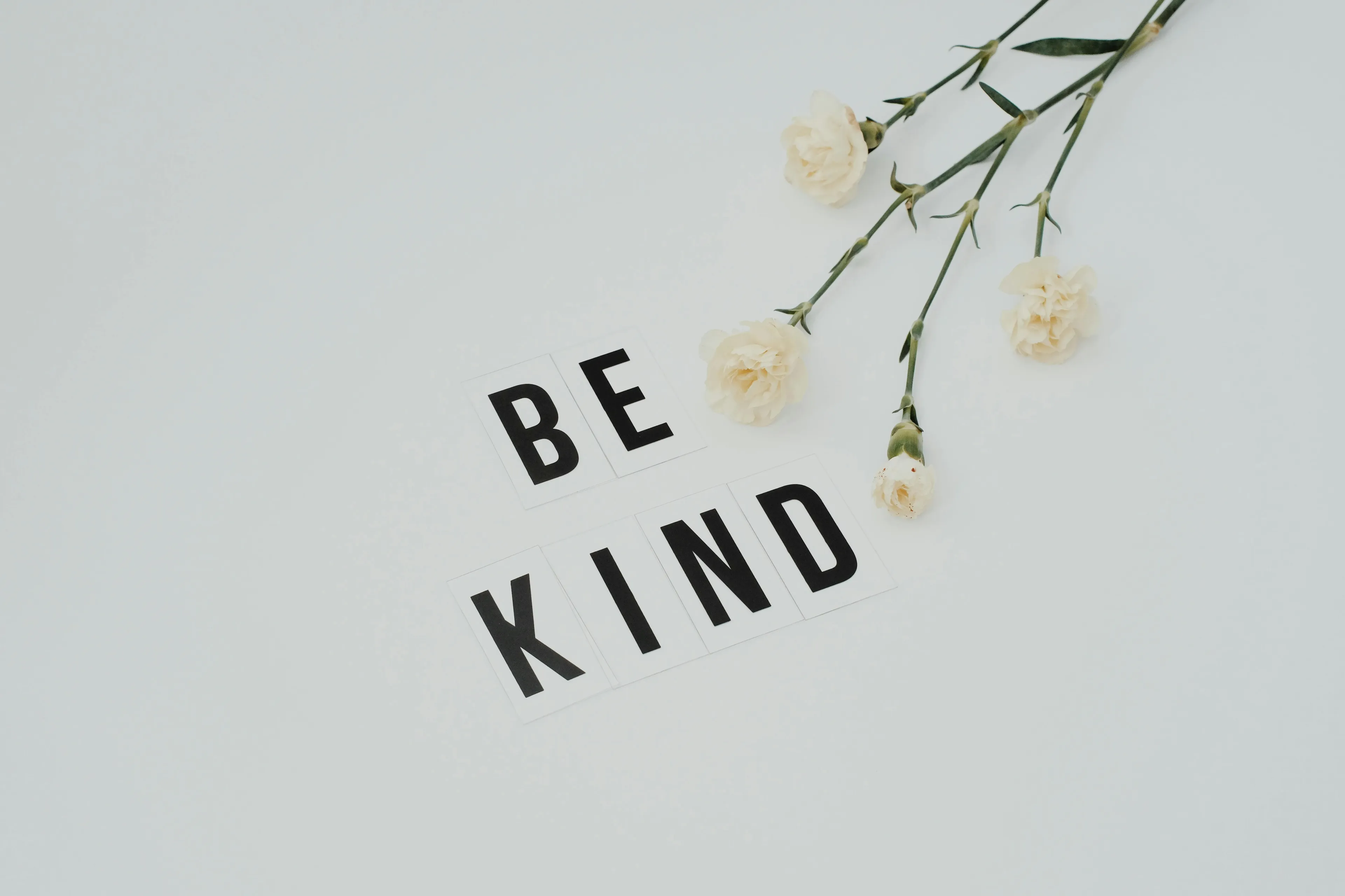 Minimalist phone wallpaper with a quote about kindness spelled out next to delicate white flowers on a plain background.