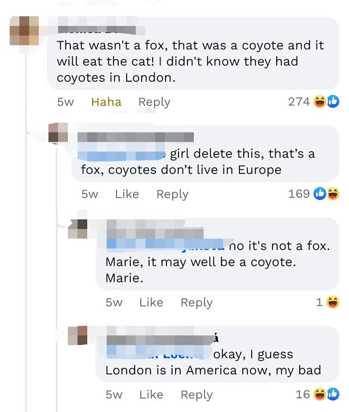 Screenshot of a social media thread where people are sure but wrong about animal species in London.