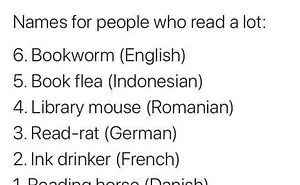 99 Ridiculously Funny Literary Memes That Might Make Book Lovers Feel Called Out