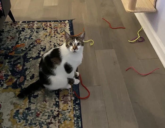 He Won’t Stop Stealing Pipe Cleaners Out Of My Kid’s Room