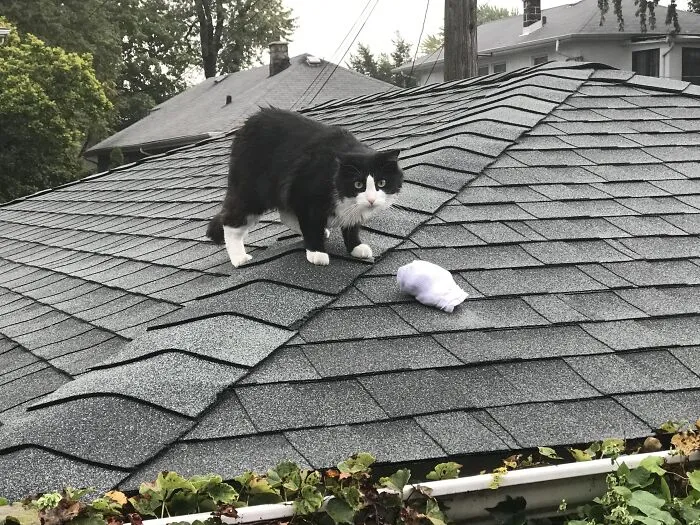 So That's Where My Socks Went
