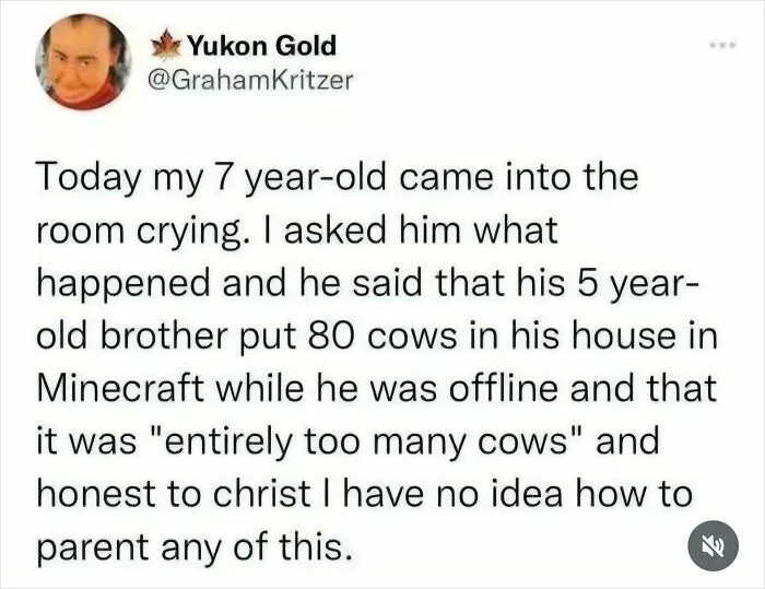 So Many Cows