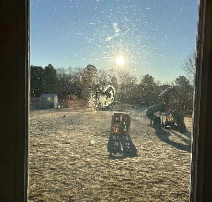 Woke Up To Find An Ear Print On My Back Door. I Will Be Buying Home Security Cameras Immediately