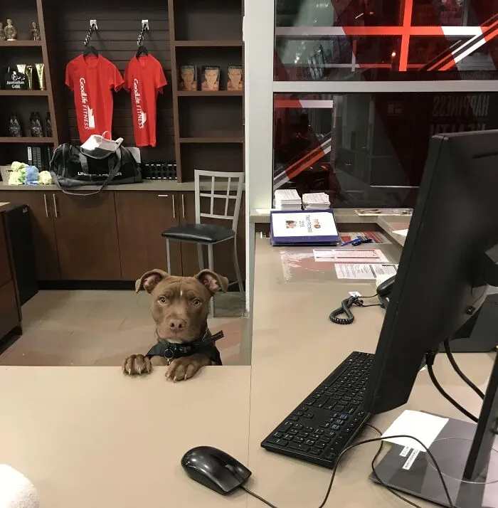 New Worker At The Local Gym