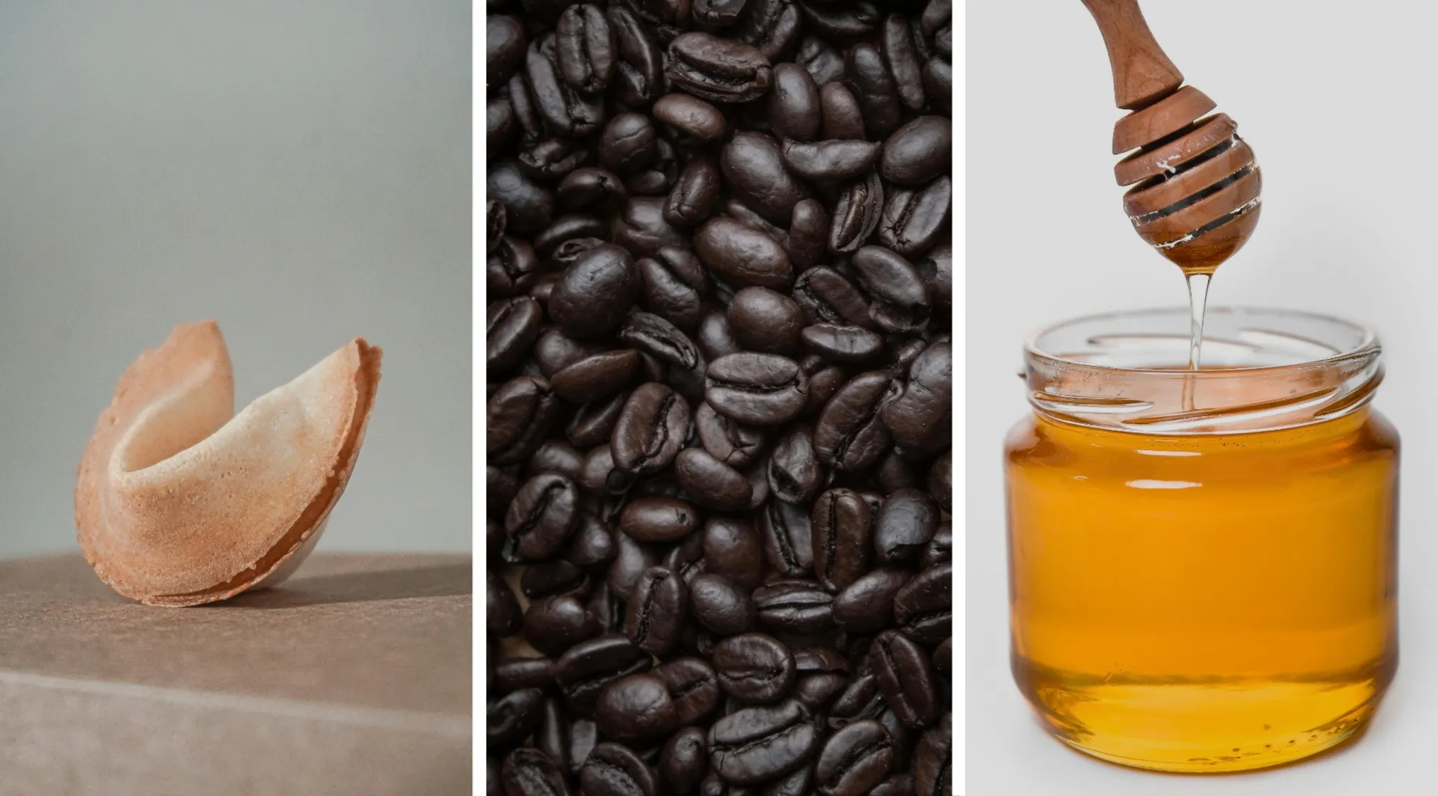 Fortune cookie, roasted coffee beans, and honey jar with dipper illustrating two truths and a lie concept.