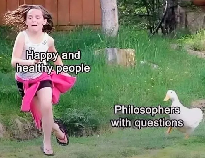 89 Deep And Funny Memes That Might Either Cure Your Existential Crisis Or Make It Worse