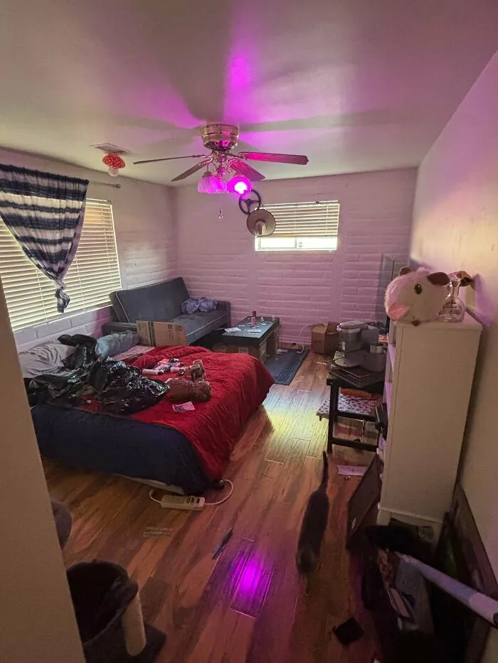 Roommate Refused To Pay Full Rent Because He Said Everything He Left Is Worth The Same Amount Of $. This Is What He Left