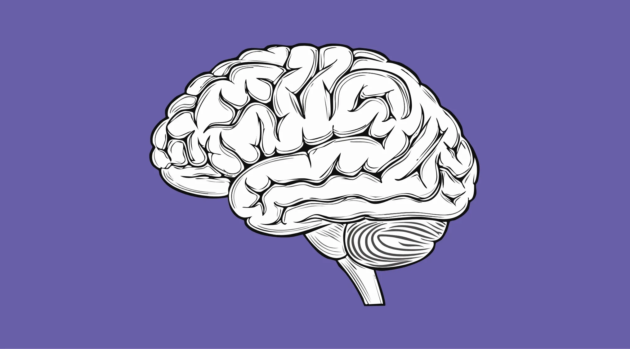 Illustration of a human brain on a purple background representing the bony structure that protects the brain.
