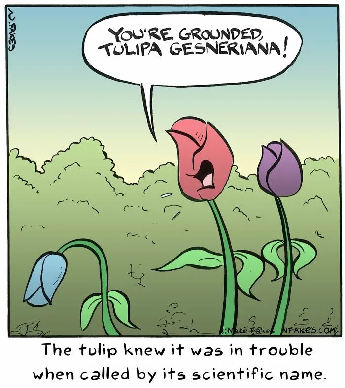 This Artist Makes People Laugh With His Single-Panel Comics (70 Best Pics)