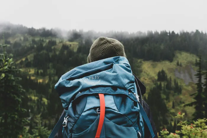 45 Unsettling Trips Into Nature When People Wanted To Leave Immediately