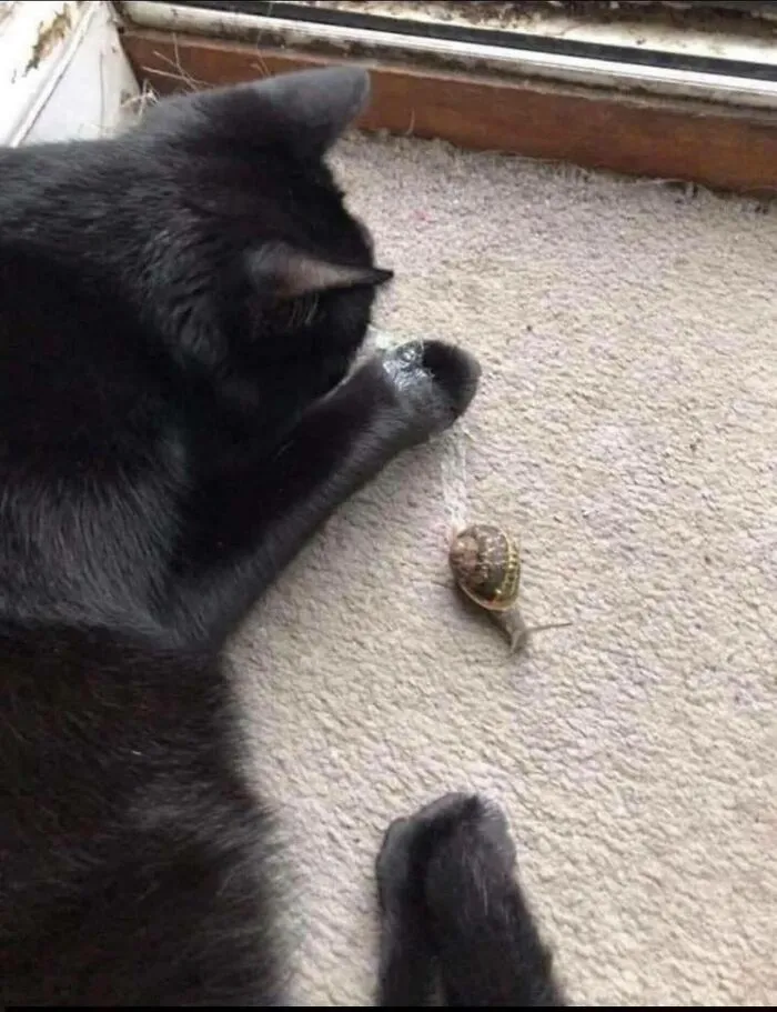 113 Wholesome Photos That May Make You Forget About The Toxicity Of Social Media (New Pics)