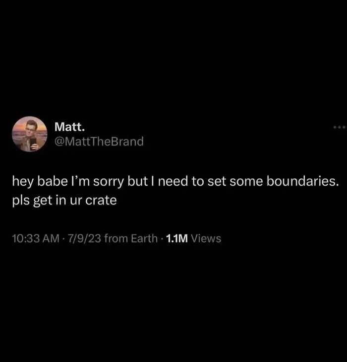 Tweet from Matt setting boundaries by asking someone to get in their crate, illustrating unhinged and wild posts humor.