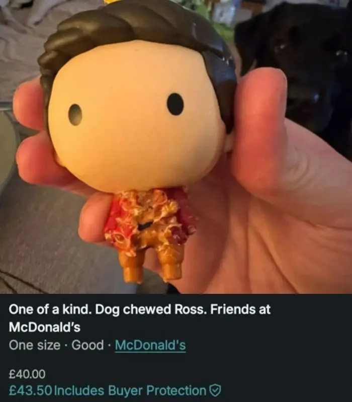 25 Funny And Completely Delusional Sellers On Vinted