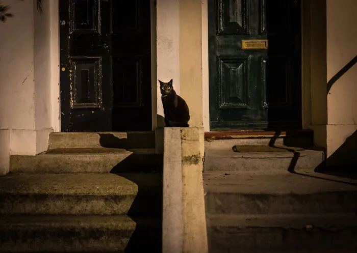 28 Times Folks Encountered Something Unexplainable That Scared The Living Daylight Out Of Them