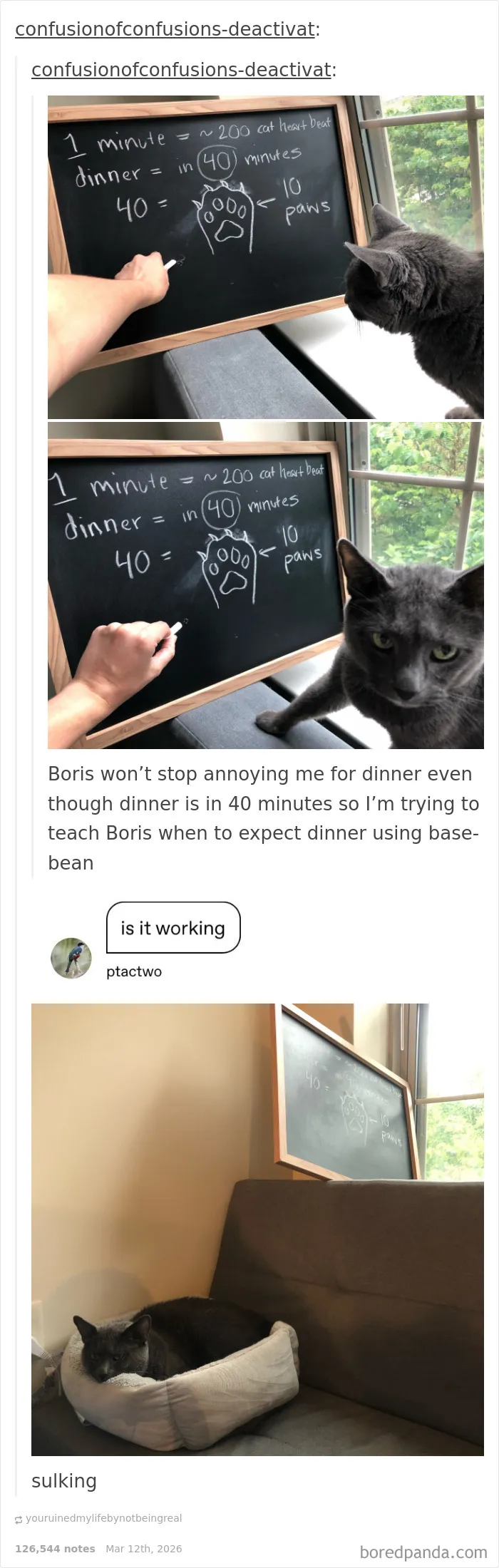 Boris Hates The Concept Of Time