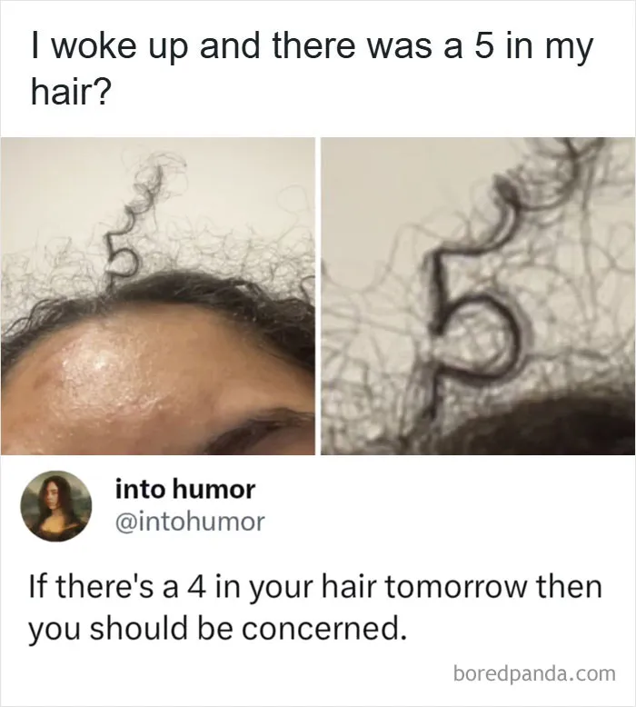 57 Memes So Funny And Relatable You’ll Just Want To Share Them With Your Friends