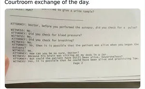 93 Of The Internet’s Most Favorite Moments That Are Better For You Than The News (New Pics)