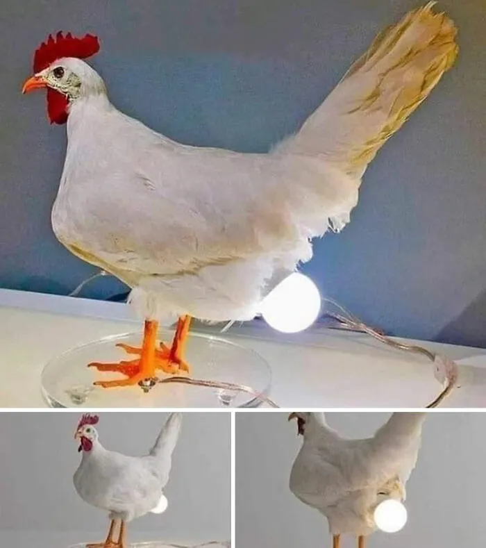This Account Shares The Most Ugly Designs, And Here Are The 40 Ugliest Ones (New Pics)