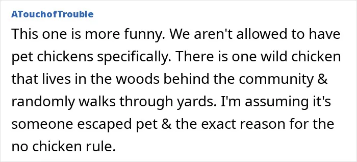 43 Homeowners Share The Most Unhinged HOA Rules They’ve Ever Encountered