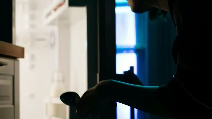 Something about the fridge light used to be such a mystery! As a kid, I would sometimes try to close the fridge so slowly that I could still see the light turn off through the crack.