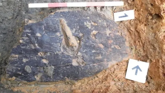 47 Times Archaeologists Dug Up Surprising Finds That Should Have Been Major News