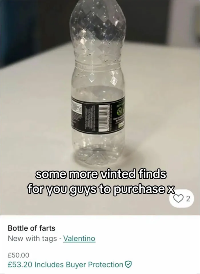 25 Funny And Completely Delusional Sellers On Vinted