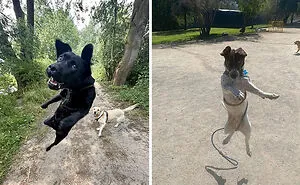 67 Wholesome Posts That Might Make You Smile When You Need It Most