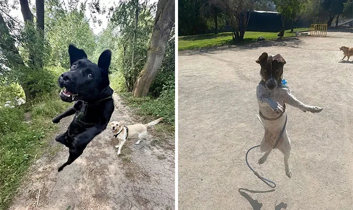 Wholesome-Pictures-Connected-Archive