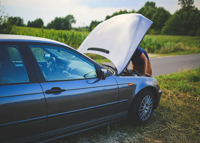 People Debunk 65 Survival Myths That Don’t Work In Real Life