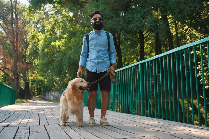 Fetch? Only If You’re Not A Bachelor