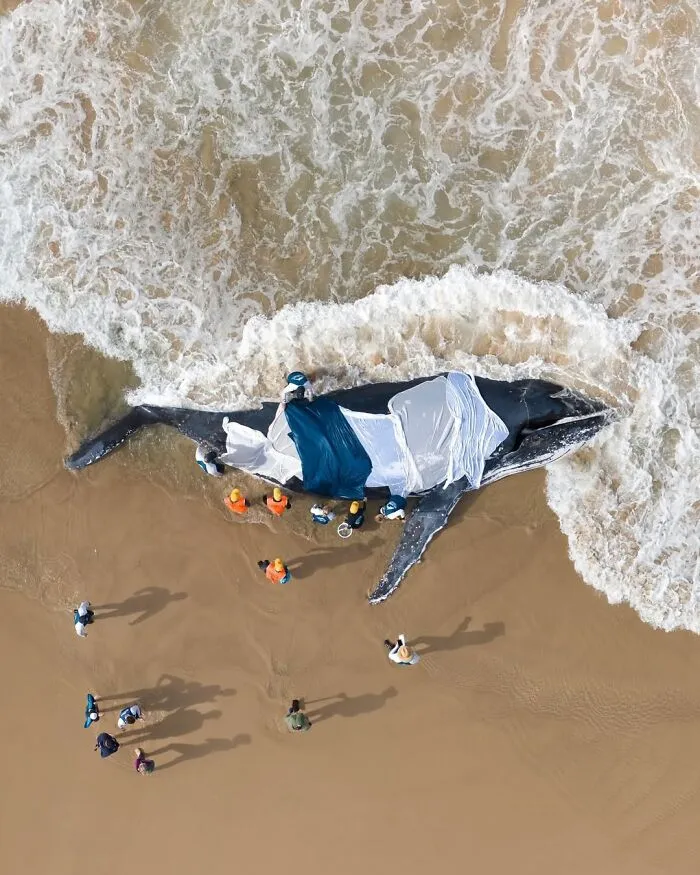 1st Place Human Connection Award: People & Planet Ocean 2025 - Craig Perry