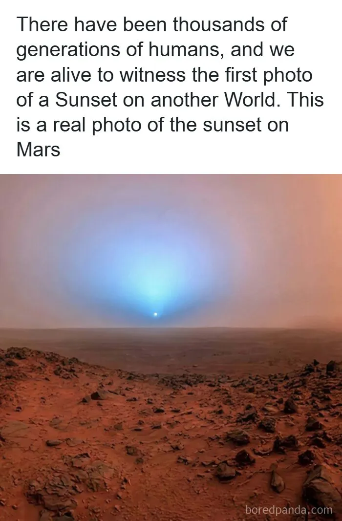 51 Fascinating Photos That Will Teach You About History In A Way School Can’t (New Pics)