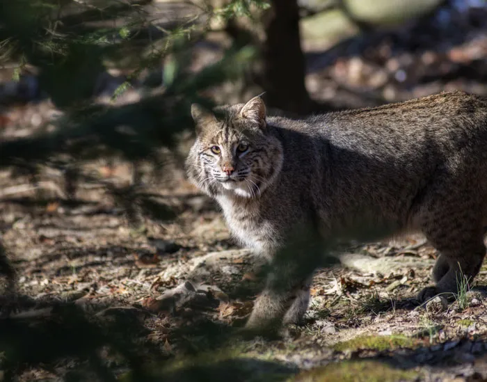 45 Unsettling Trips Into Nature When People Wanted To Leave Immediately