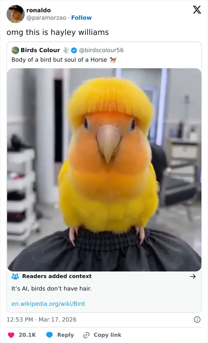 Bird with edited yellow hair resembling a bowl cut, shared in a funny US tweets collection about surreal internet humor.