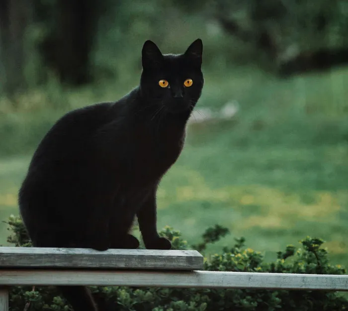 48 Personal Mysteries People Still Haven’t Been Able To Solve