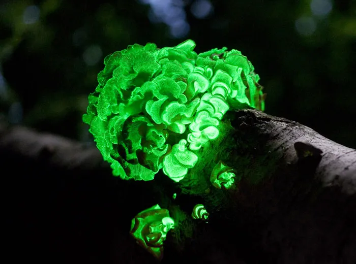 45 Unsettling Trips Into Nature When People Wanted To Leave Immediately