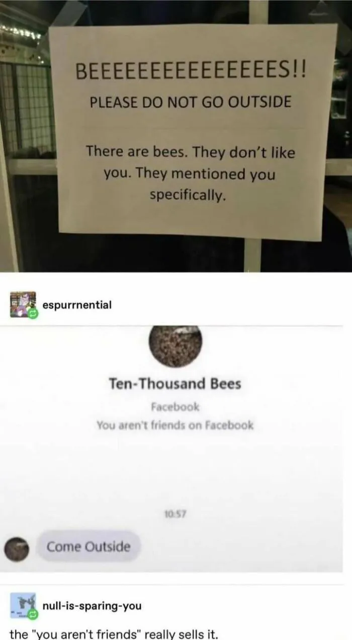Bee My Friend