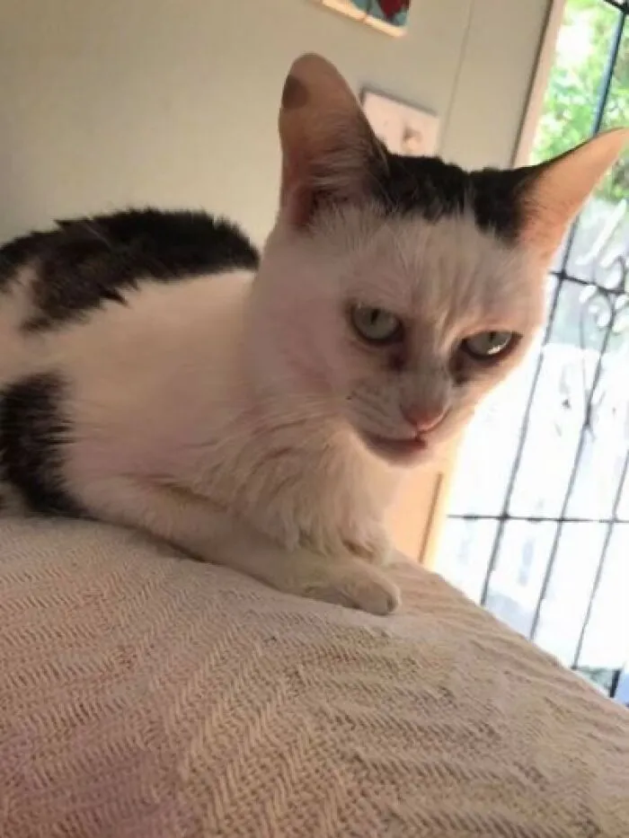 This Is Hubert…