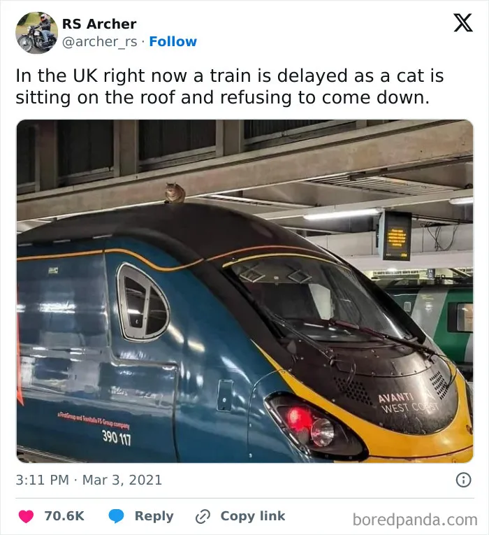 61 Hilarious Memes That Demonstrate The Superiority Of British Humor