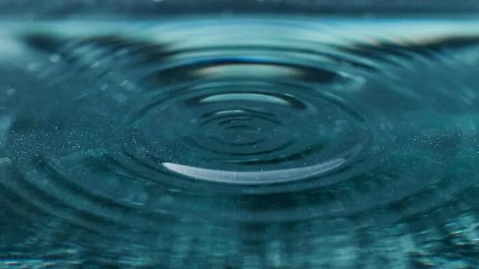 When my parents would take me to a body of water, I’d sometimes take a small handful of stones and throw all of them in at once, and look at how all the different ripples would interact and fade out.