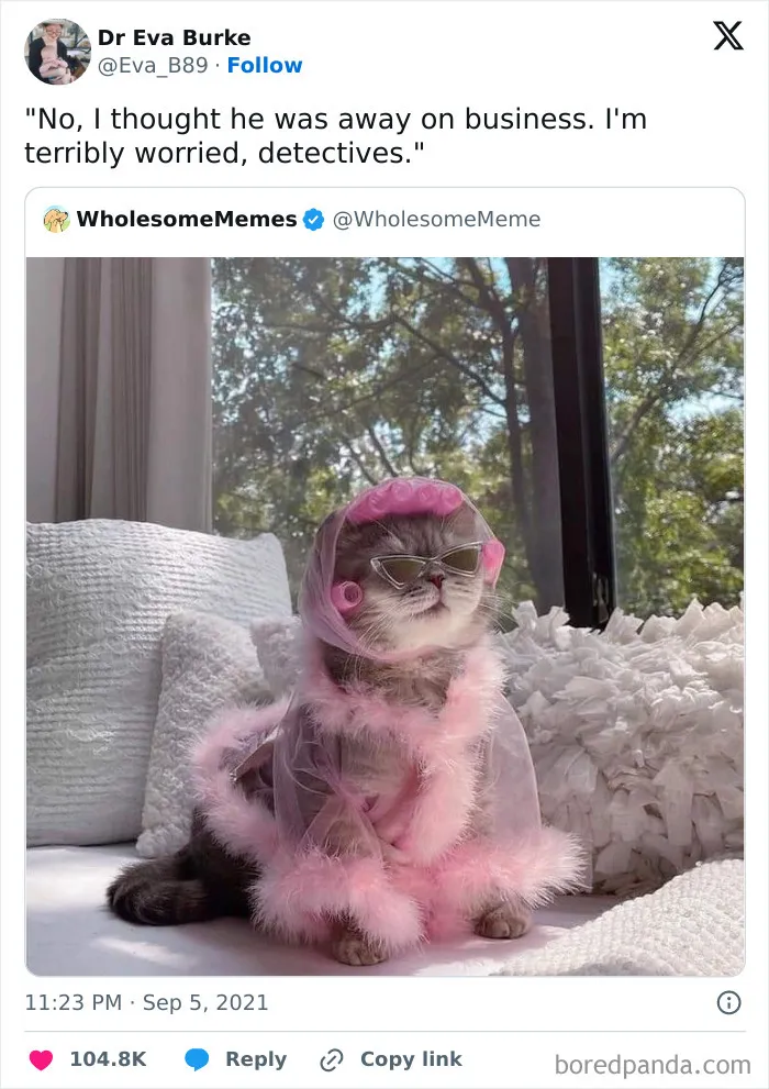 If You’re Feeling Down, These 57 Hilarious Lighthearted Memes Might Fix Your Mood