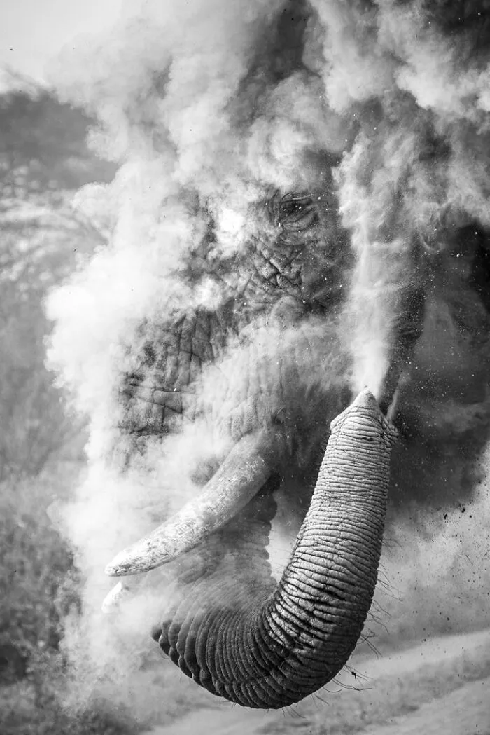 Winner, One Shot – Travel In Monochrome: Dana Allen, USA