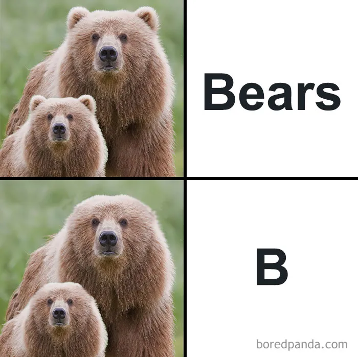 57 Memes To Make You Laugh At The Most Random Mundane Things