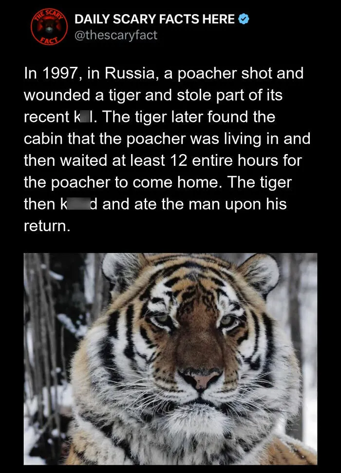 “Something Out Of A Nightmare”: 83 Disturbing Real-Life Facts That Might Haunt Your Mind (New Pics)
