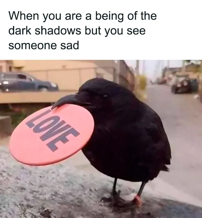 50 Random, Funny Memes You Might Want To Share With Your Friends