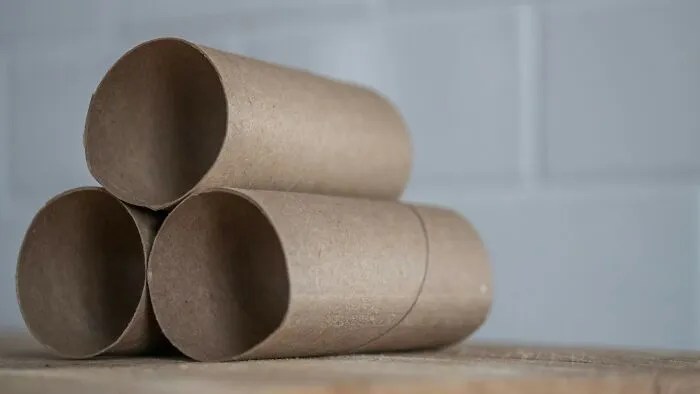 I would constantly use anything cylindrical, like the cardboard tube of a paper towel roll, as a megaphone or trumpet. Needless to say, I was a loud kid…