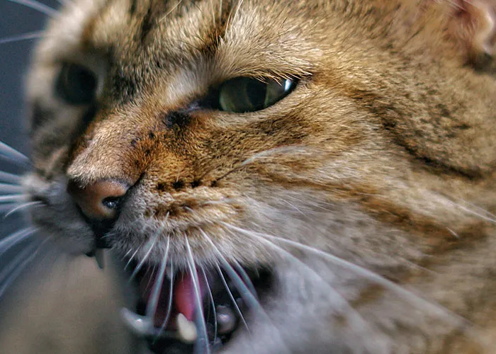 59 People Share The Most Terrifying Experiences That Woke Them From Sleep