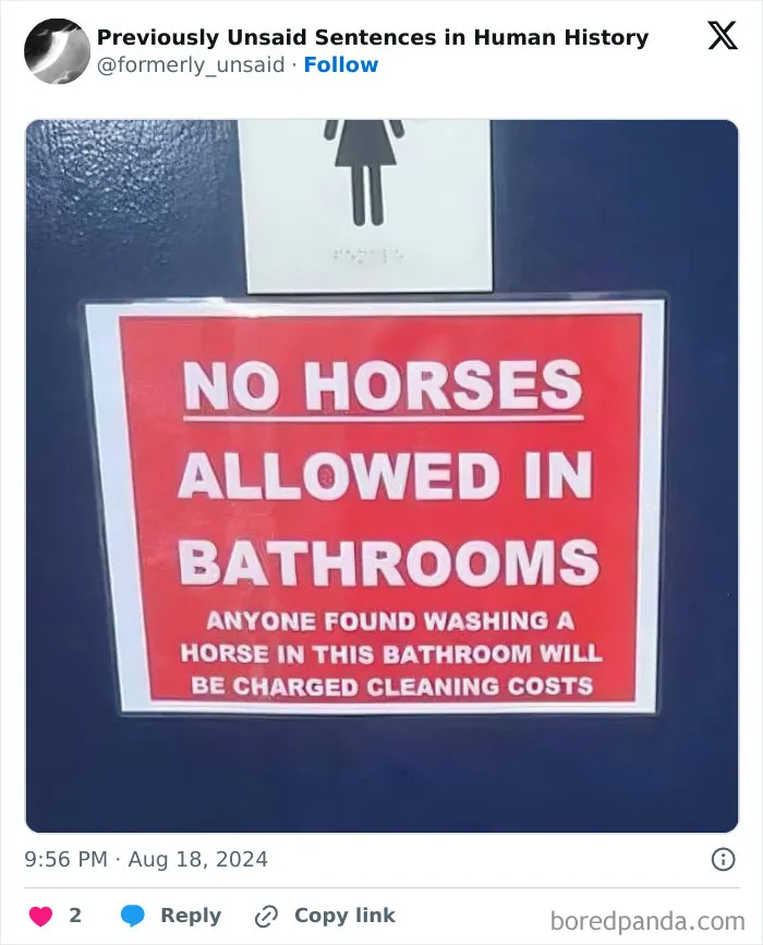 83 Absolutely Unhinged “New” Sentences That Have No Business Being This Funny