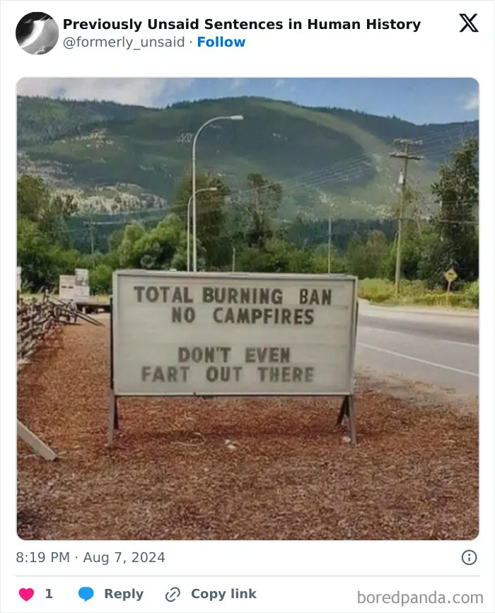 83 Absolutely Unhinged “New” Sentences That Have No Business Being This Funny